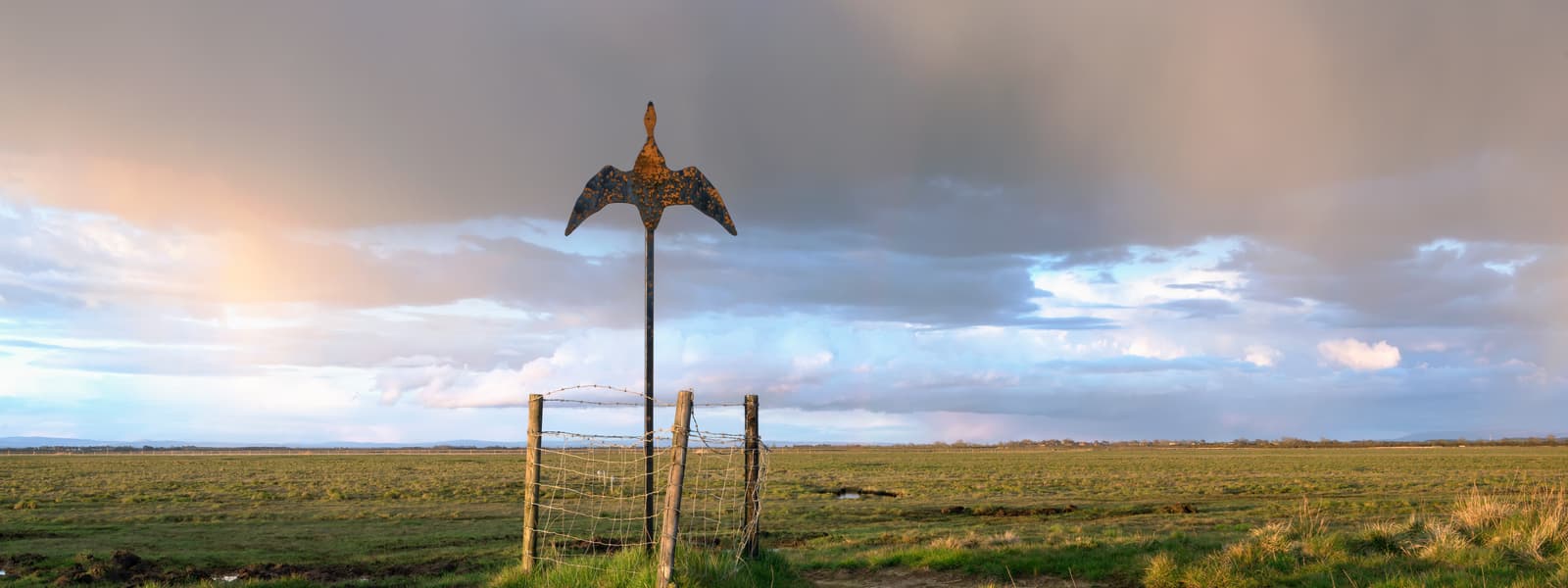 Goose Sculpture Calvo Marsh Border