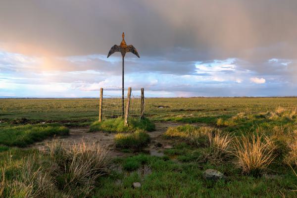 Goose Sculpture Calvo Marsh Border
