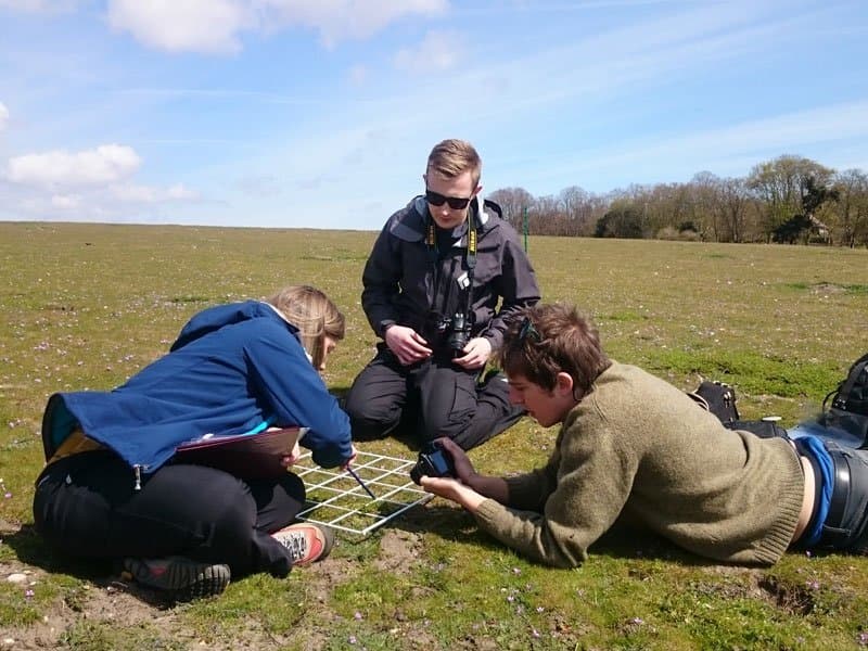 Suffolk and Essex Coast and Heaths NL - Invasive species survey