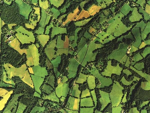 Satellite shot of fields