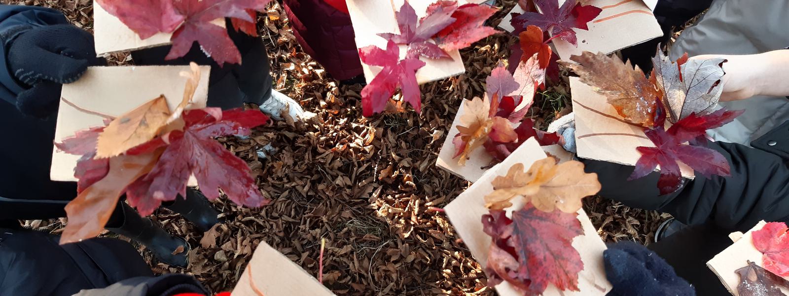 A circle of children's hands hold out crafts they have made with beautiful coloured autumn leaves.
