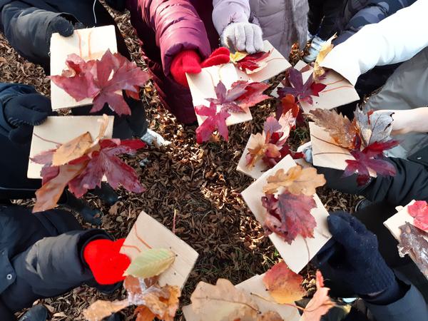 A circle of children's hands hold out crafts they have made with beautiful coloured autumn leaves.