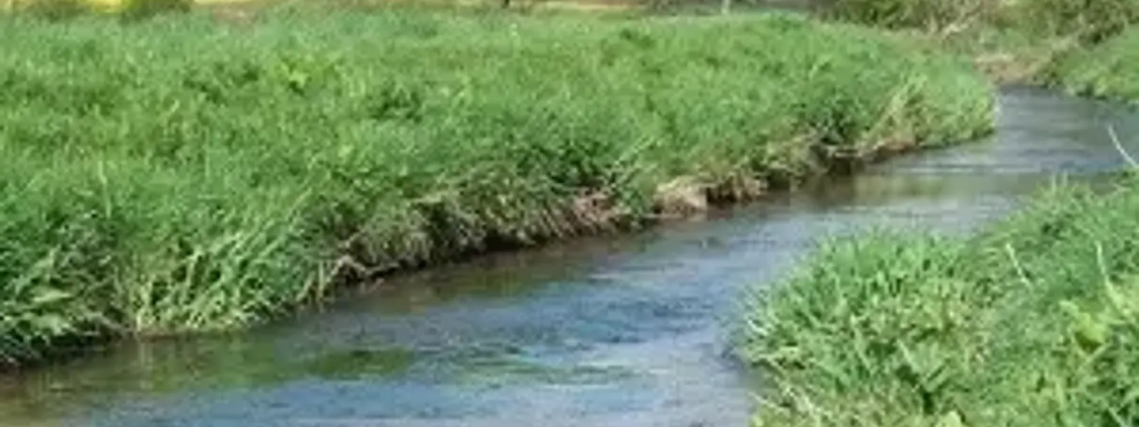 Lincolnshire Wolds NL - Chalk Streams Project - Waithe Beck