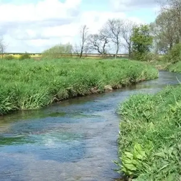 Lincolnshire Wolds NL - Chalk Streams Project - Waithe Beck