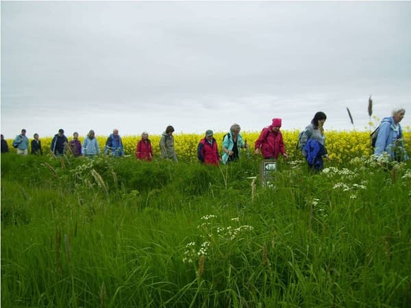 Lincolnshire Wolds Walking Festival