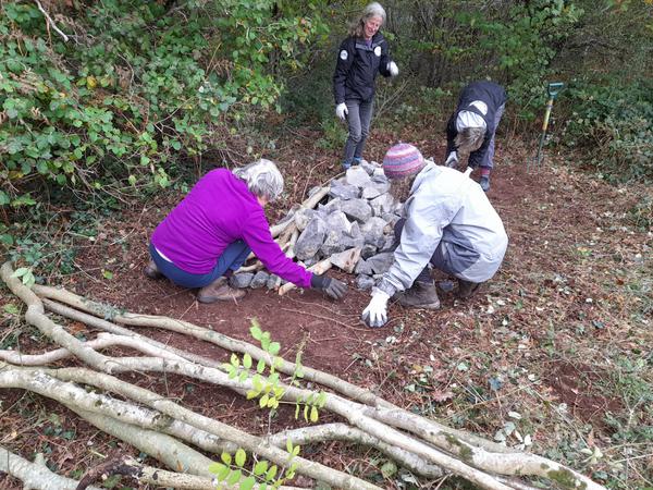 Hibernaculum