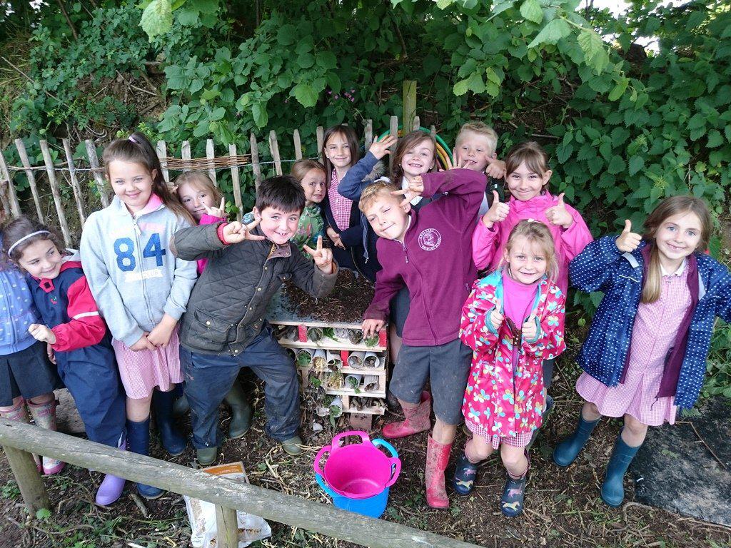 Blackdown Hills NL - Bug Hotel