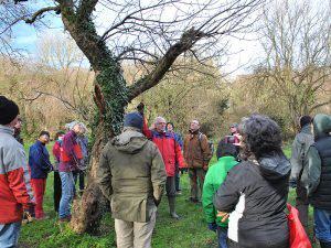 Kent Downs NL - Pruning Demonstration