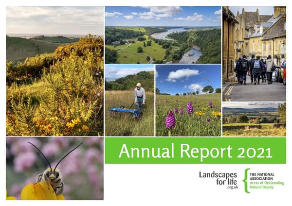 Annual Report 2021 cover