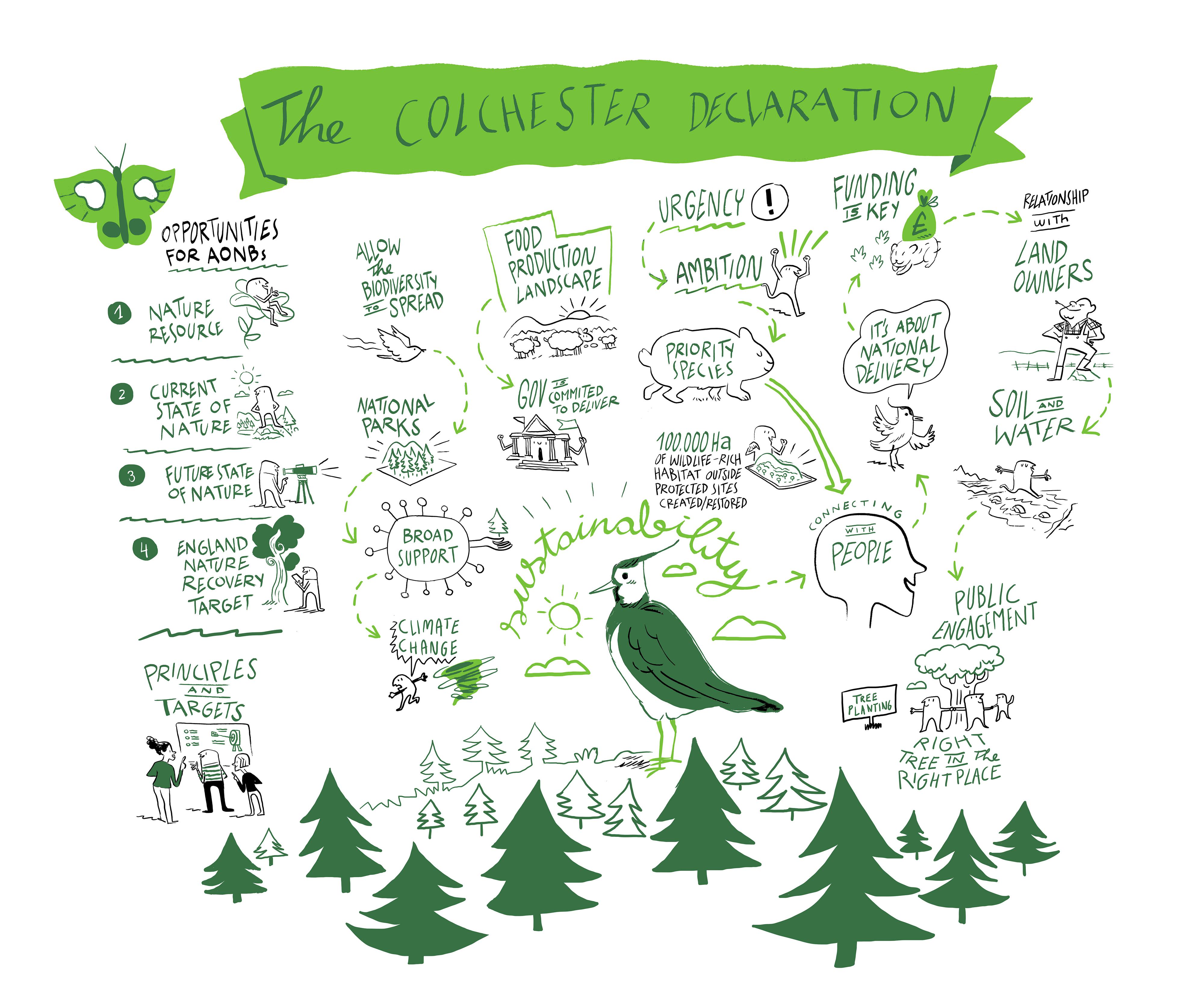 The Colchester Declaration (c) David Vignolli at Visual Scribing