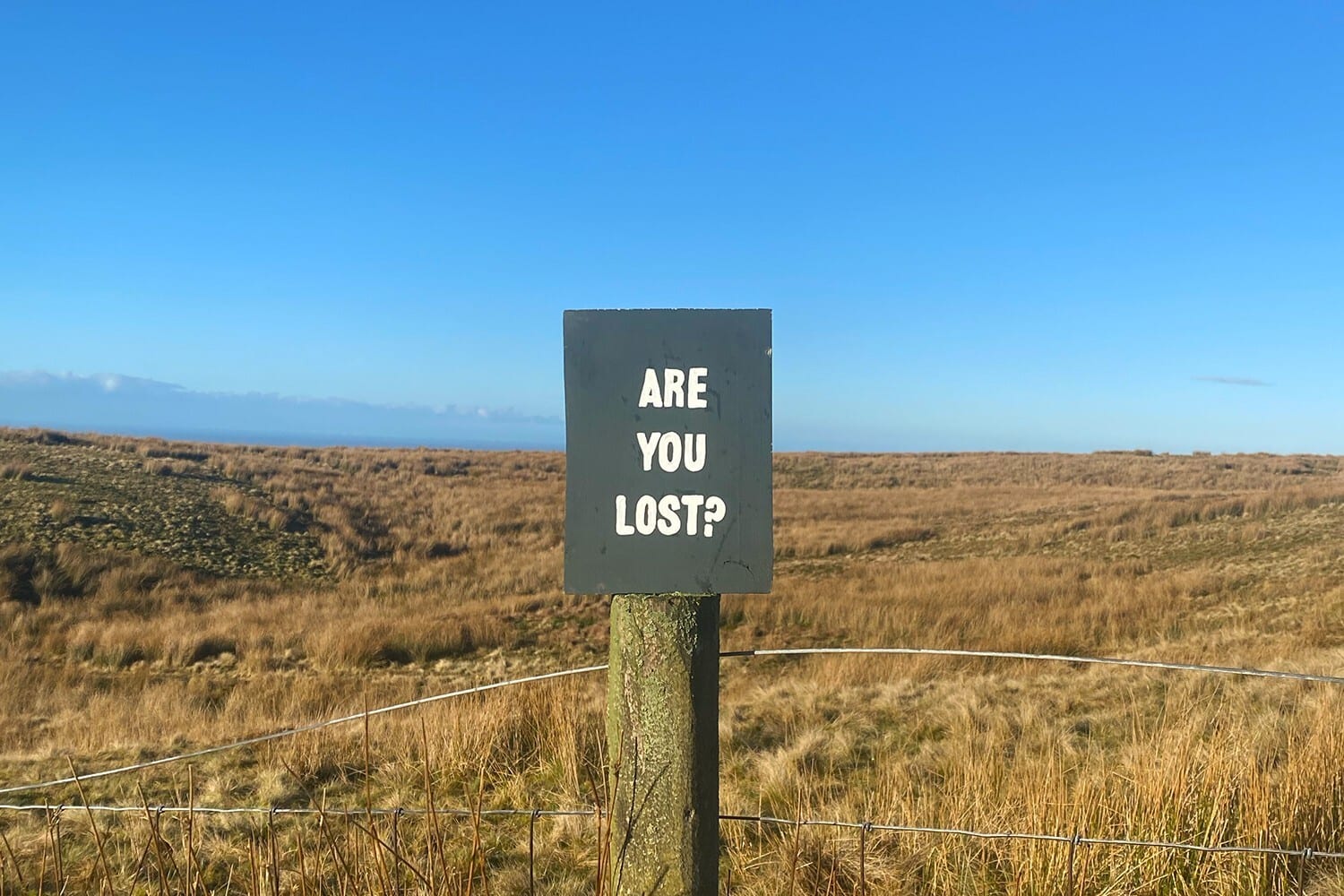 A black board with Are you Lost? written in white capital letters is mounted on a fence post out in the middle of a broad landscape of brown grasses.