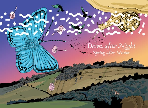 A graphic image of a hillside with pink and purple sky above, a large blue butterfly is in the foreground with birds in flight and a large sun above the hill.