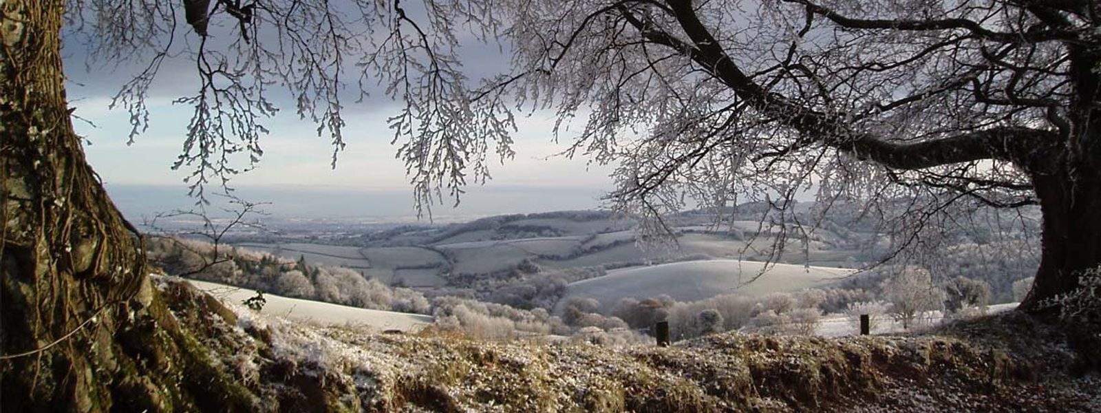 Quantock Matty National Landscapes - Quantock Hills