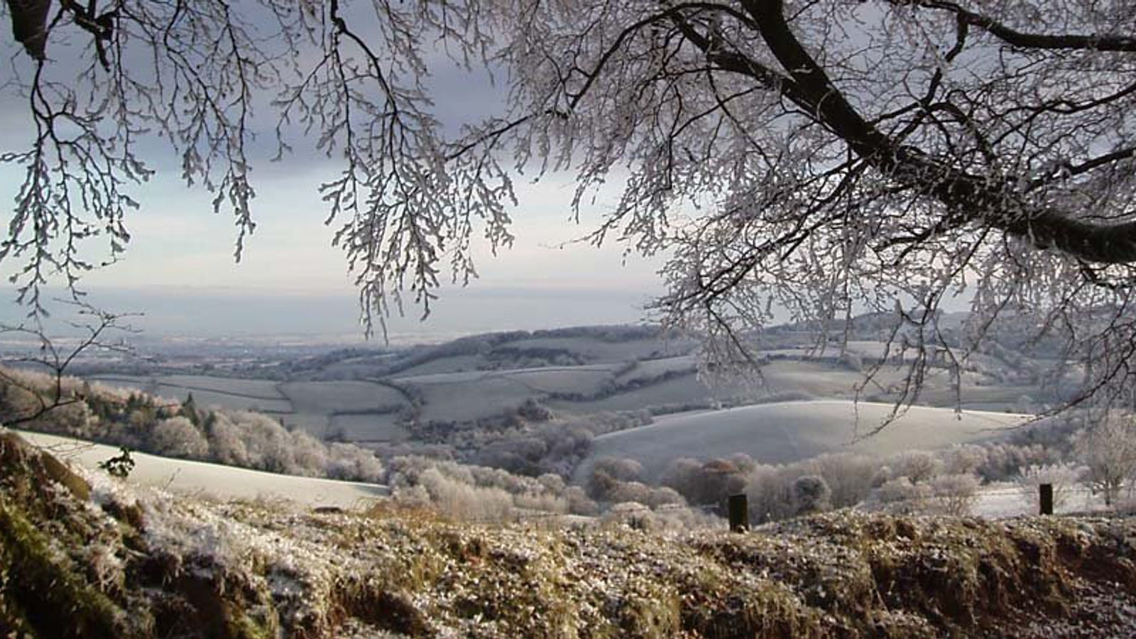 Quantocks Valley National Landscapes - Quantock Hills