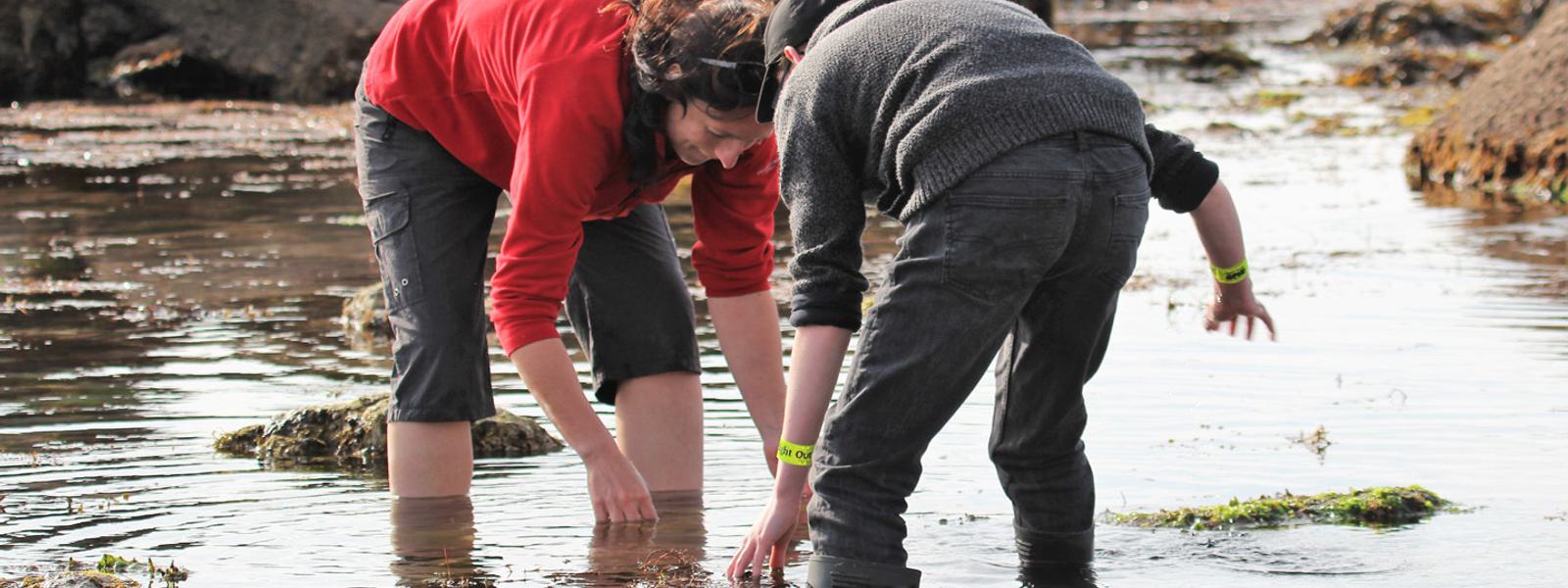 South Devon NL - BNO South Milton
