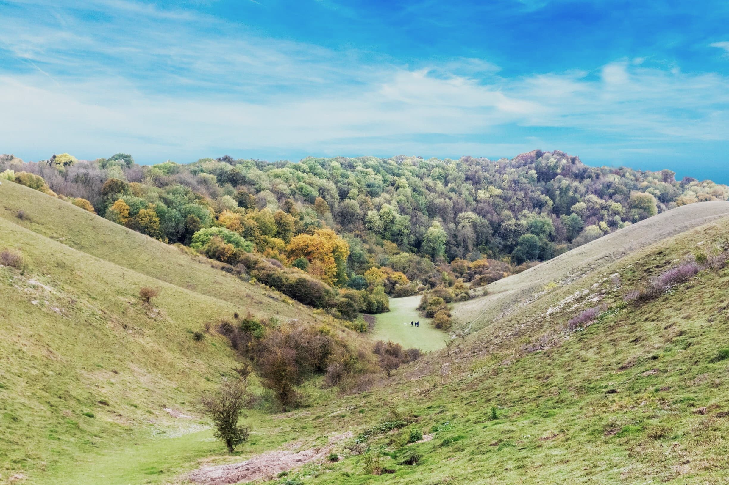 We're looking down a low valley towards a rich woodland in the distance. The sky is blue, the woodlands look slightly autumnal with shades of deep yellow mixed in with the green