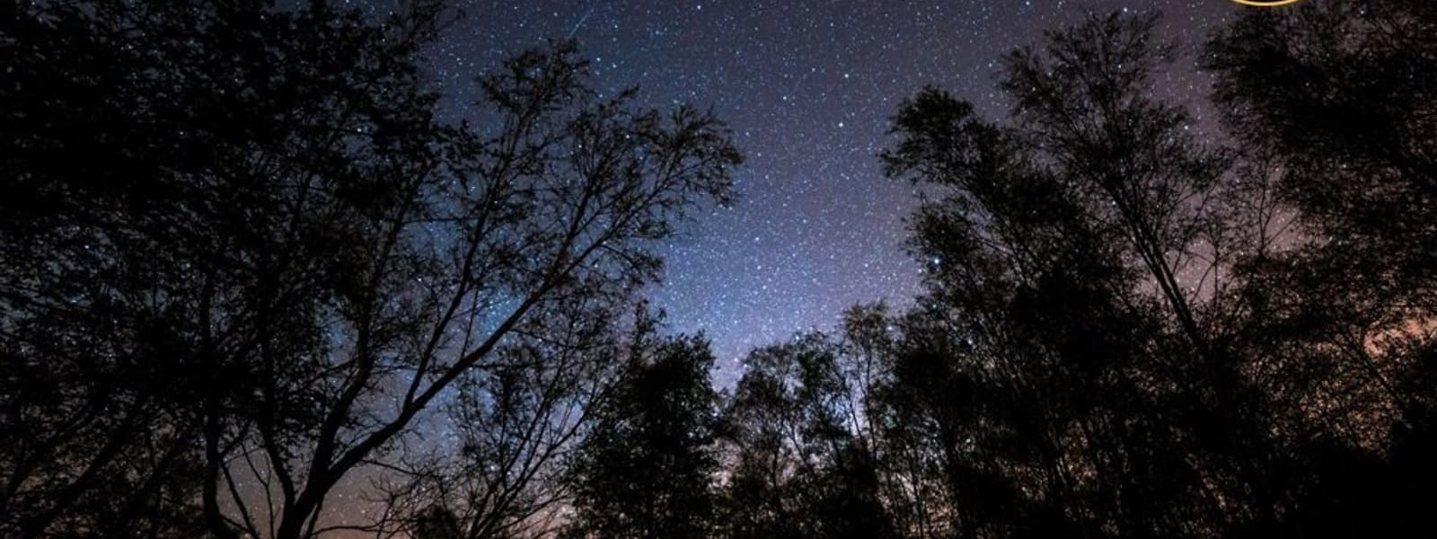 Forest of Bowland - Dark Sky Site (c) Matthew Savage