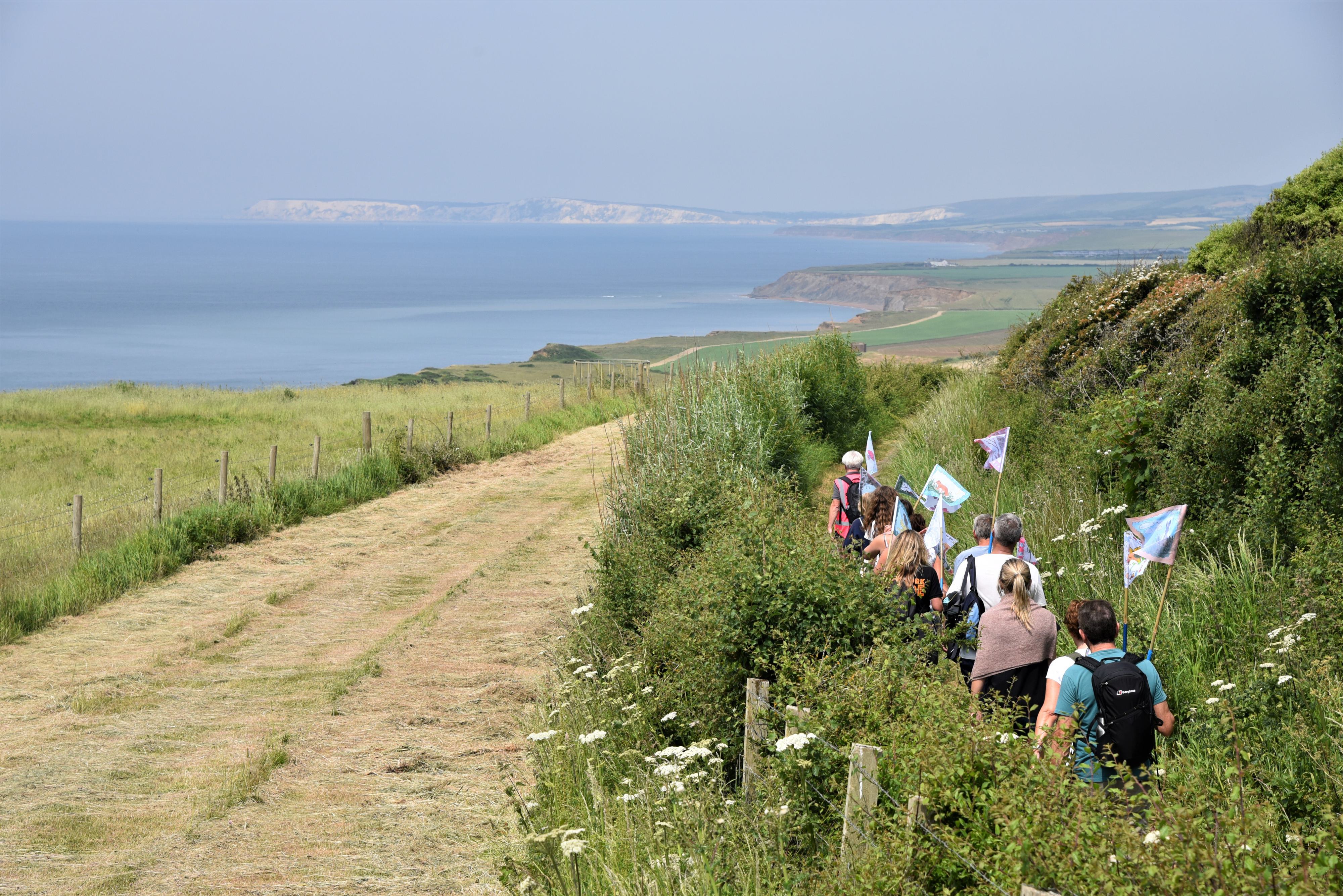A line of people walk down a hill with a mown field on the left. They are carrying small flags on sticks. There is a view out to white chalk cliffs and the sea in the distance.