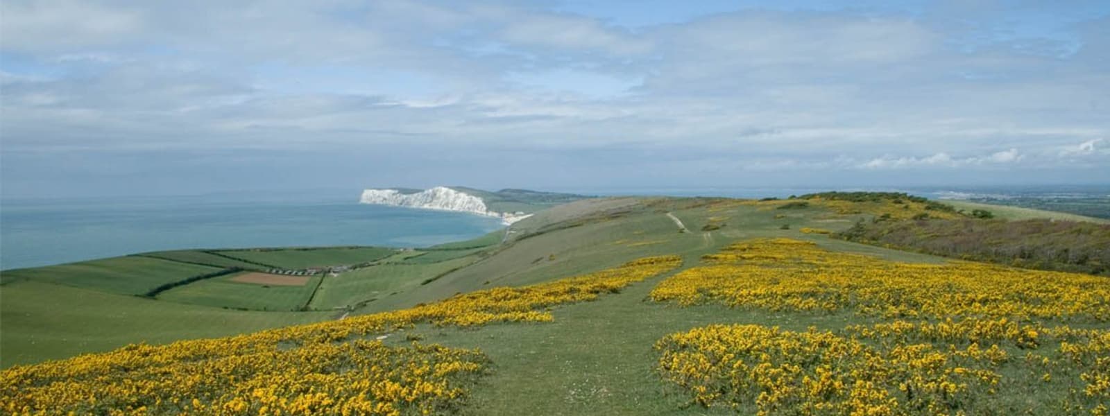 Isle of Wight NL - Chalk Cliffs