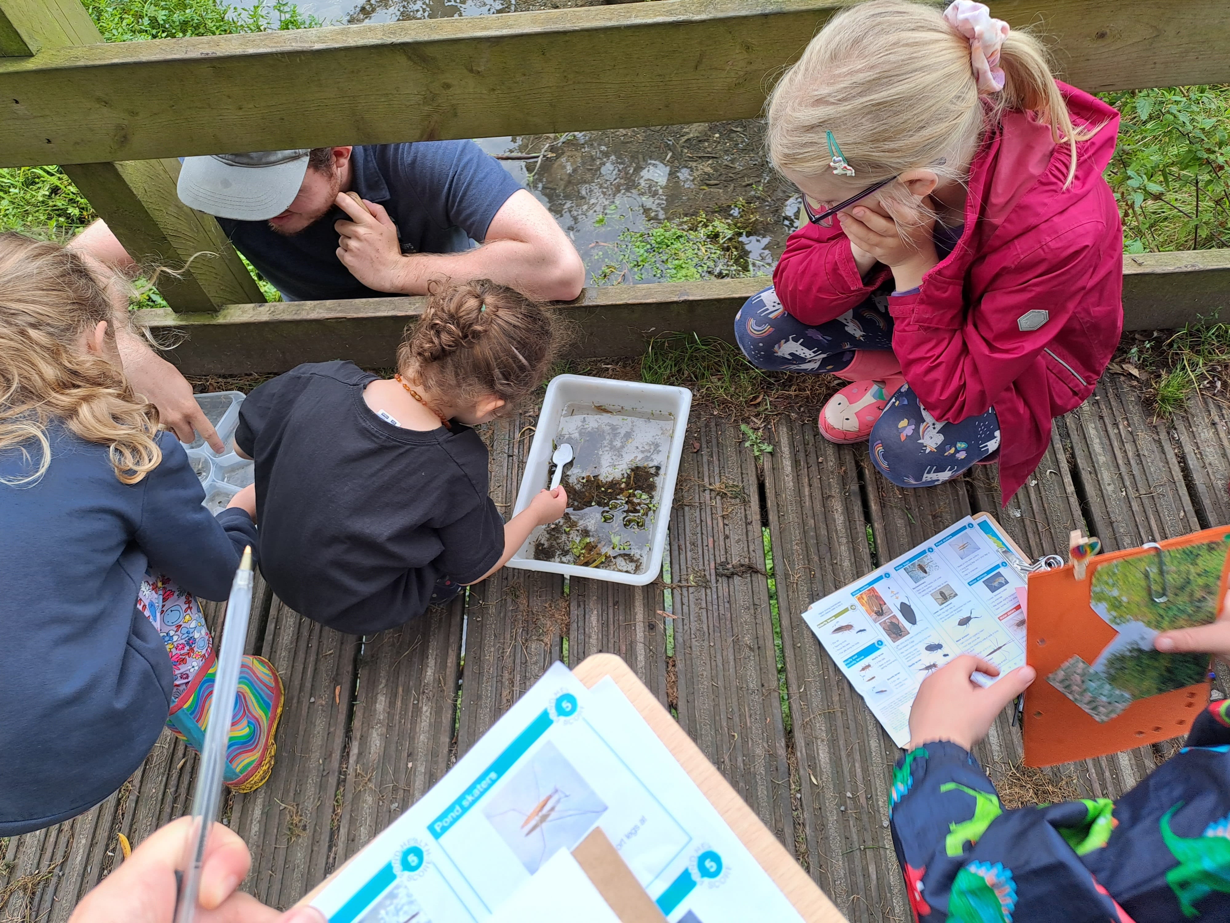 Children are standing on a bridge looking at wildlife collected from a pond, they are checking things off on a picture checklist. They are absorbed in the task.