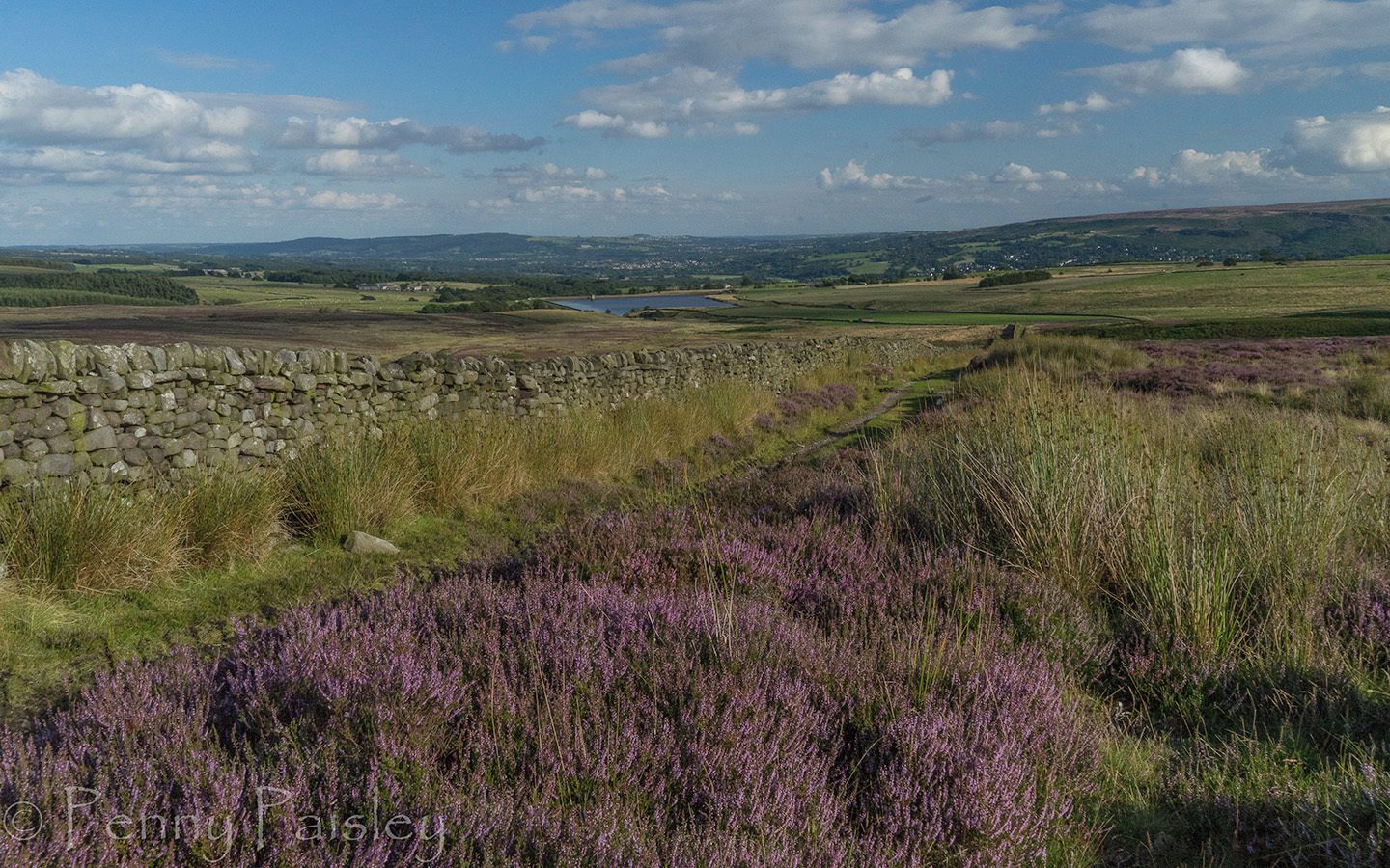 National Landscapes Nidderdale