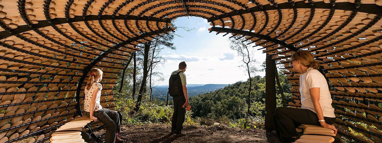 Surrey Hills NL - Perspectives, Giles Miler (c) John Miller